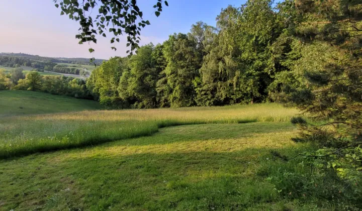 Działka budowlana Wola Więcławska, ul. Spacerowa