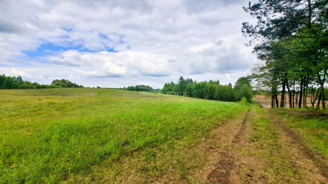 Działka budowlana Dąbrówka Wielka. Zdjęcie 2