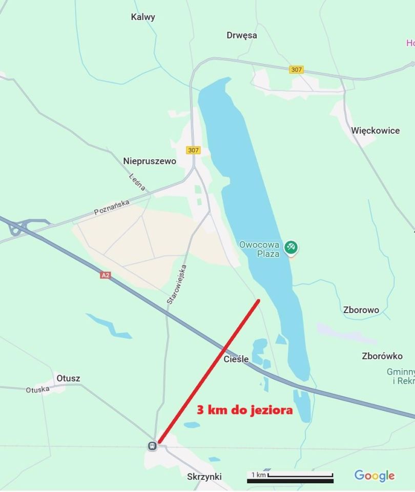 Działka budowlana Skrzynki. Zdjęcie 10
