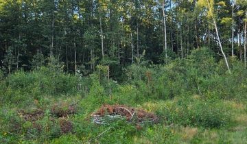 Działka leśna Poryte