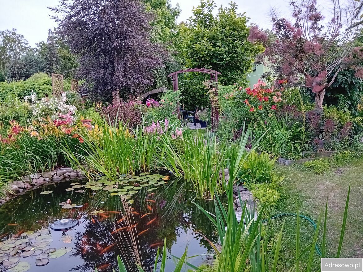 Działka rod Gostynin. Zdjęcie 9