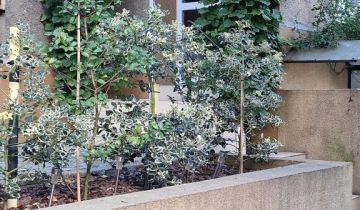 dom wolnostojący, 7 pokoi Wrocław Kozanów