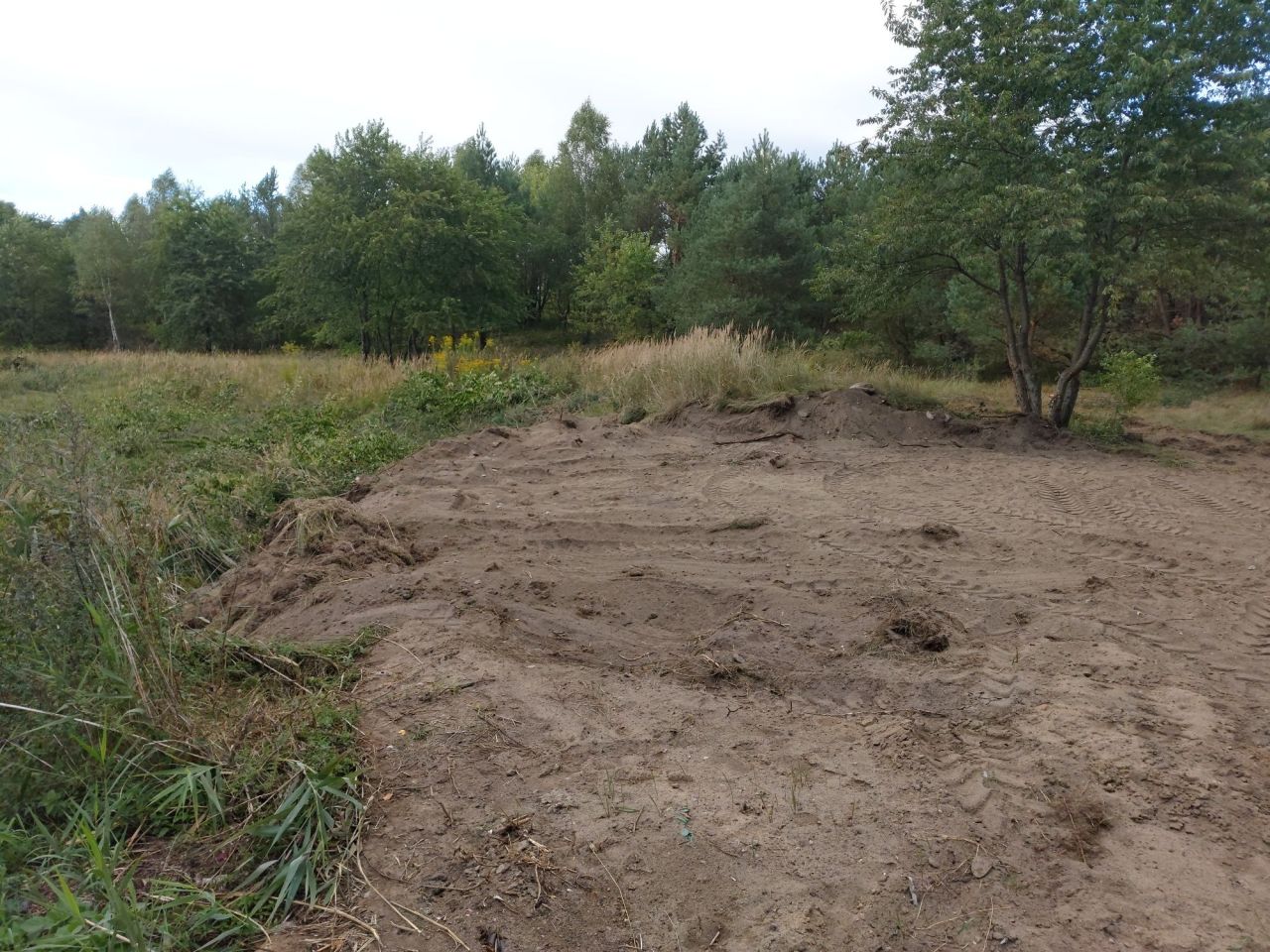 Działka rolna Biały Zdrój. Zdjęcie 2