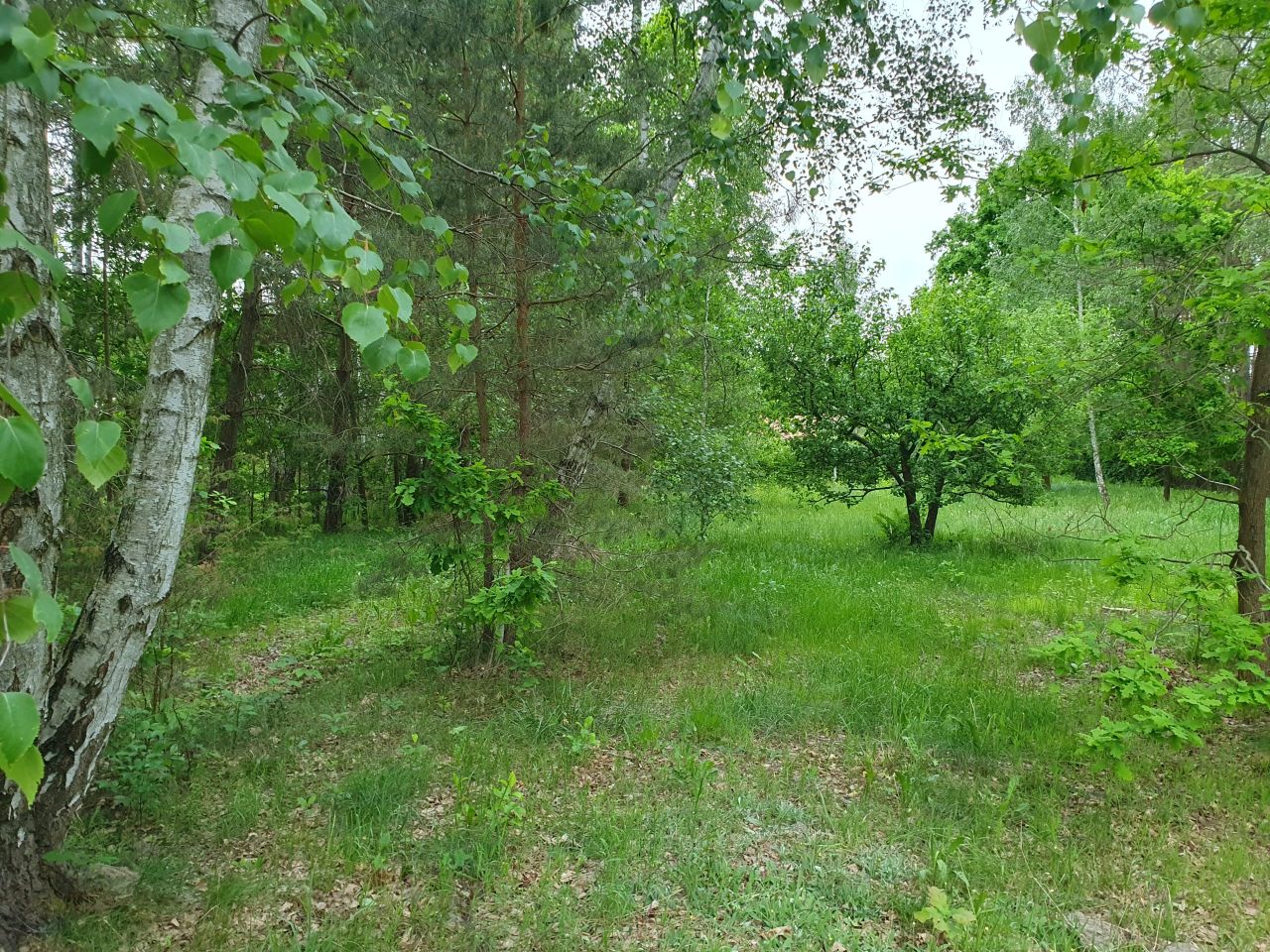 Działka budowlana Otwock Wólka Mlądzka, ul. Wspaniała. Zdjęcie 5