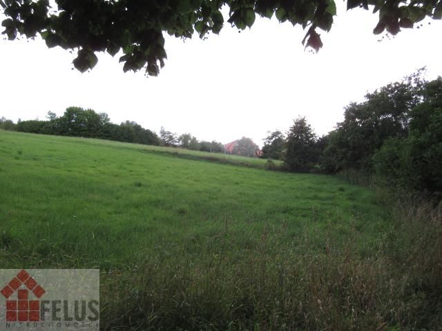 dom wolnostojący, 9 pokoi Paczółtowice. Zdjęcie 4