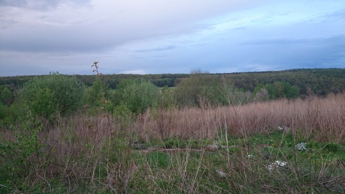 Działka siedliskowa Maszków, ul. Zamoście. Zdjęcie 14