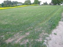 Działka budowlana Motycz. Zdjęcie 3