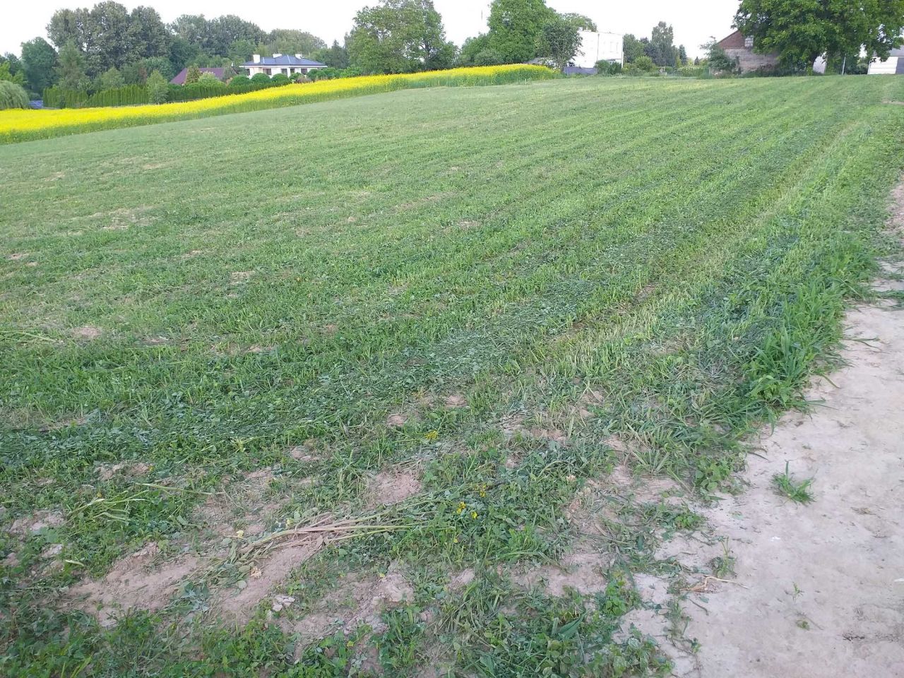 Działka budowlana Motycz. Zdjęcie 4