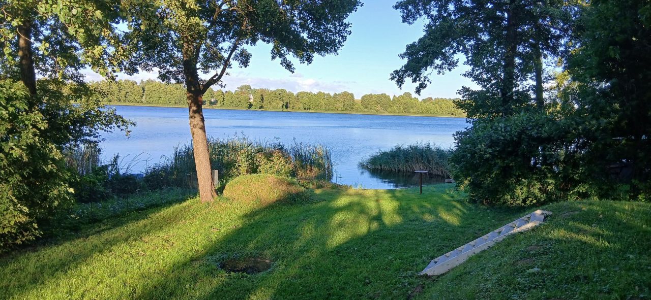 Działka rolna Brzezie. Zdjęcie 1