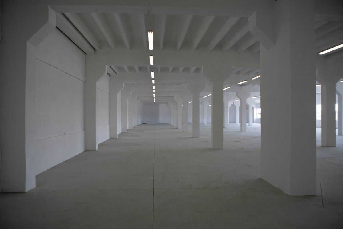 Hala/magazyn Ozorków, ul. Łęczycka. Zdjęcie 4