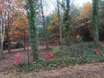 Działka budowlana Wola Prażmowska, ul. Leśna. Zdjęcie 2