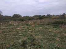 Działka rekreacyjna Kłodowo. Zdjęcie 1