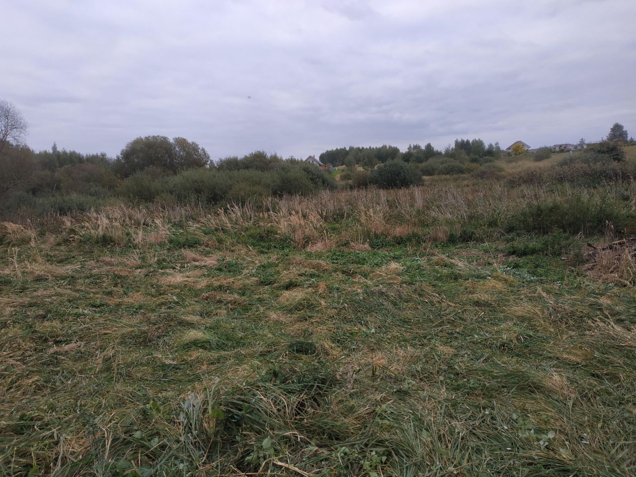 Działka rekreacyjna Kłodowo. Zdjęcie 2