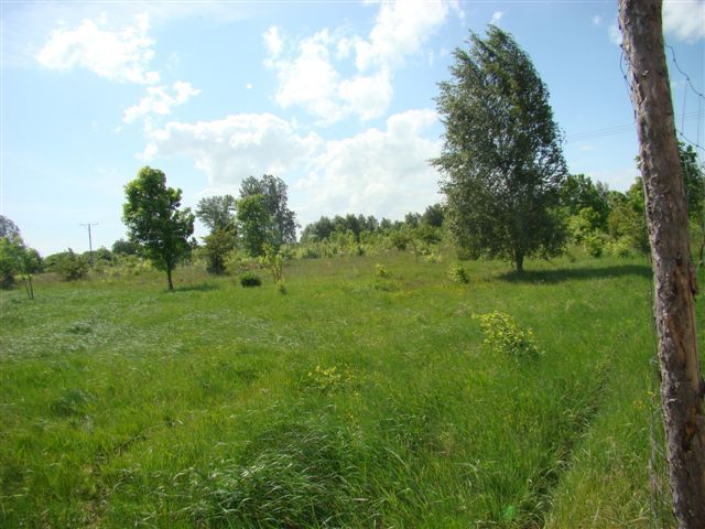 Działka budowlana Stara Dąbrowa. Zdjęcie 9