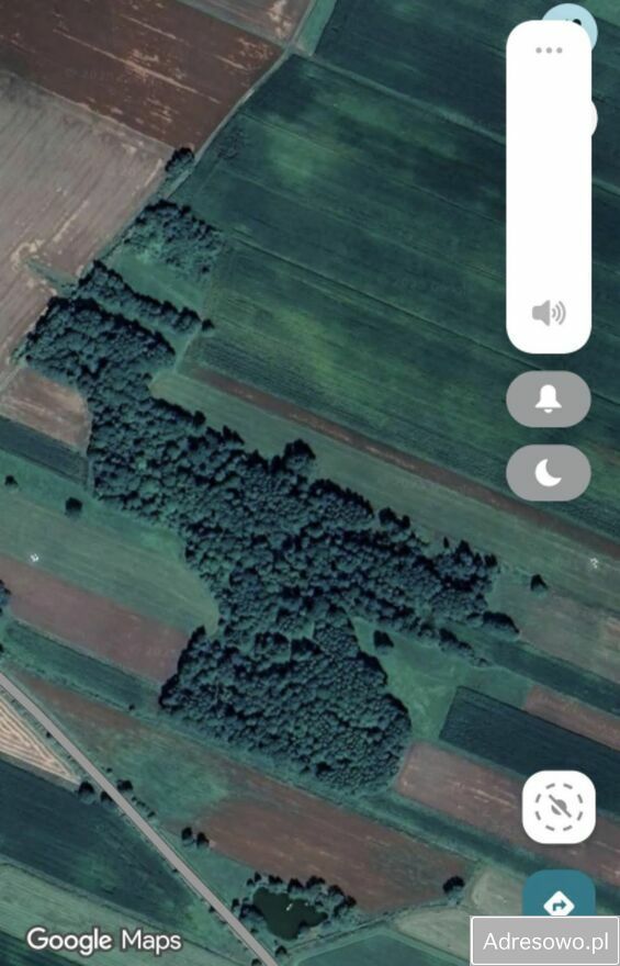 Działka leśna Krypno Kościelne. Zdjęcie 3