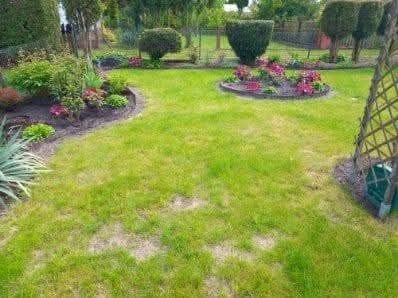 Działka rod Wólka Kozodawska, ul. Dworska. Zdjęcie 4