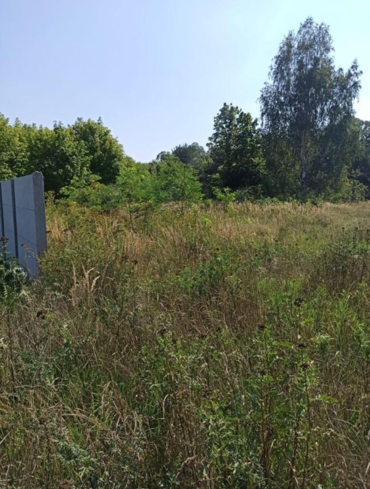 Działka inwestycyjna Ścinawa, ul. Legnicka. Zdjęcie 4