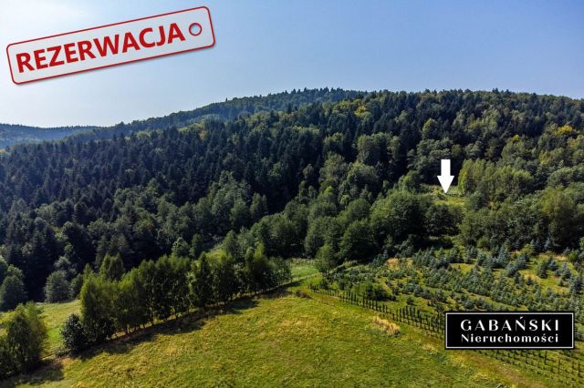 Działka budowlana Słona. Zdjęcie 7