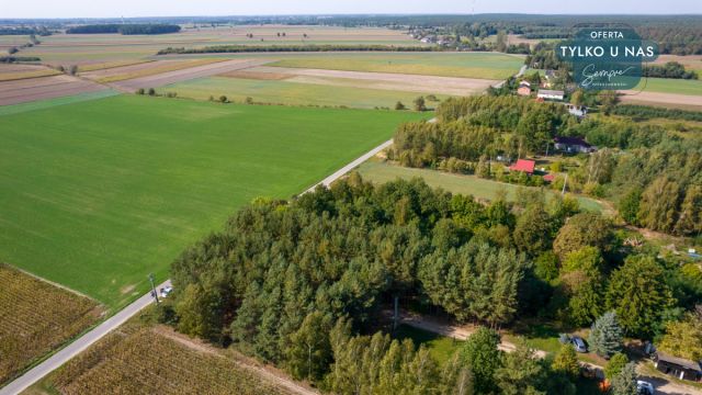 Działka inwestycyjna Krokocice. Zdjęcie 23