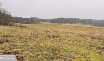 Działka rolna Przydargiń