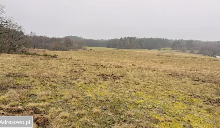 Działka rolna Przydargiń