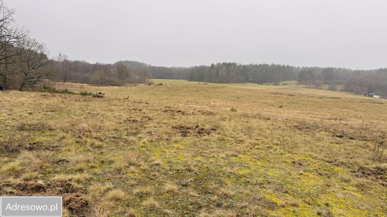 Działka rolna Przydargiń