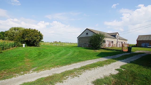 gospodarstwo Zbójno. Zdjęcie 5