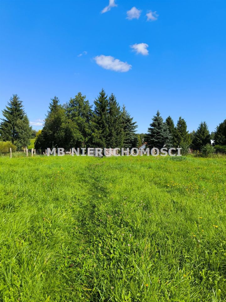 Działka rolna Wipsowo. Zdjęcie 9