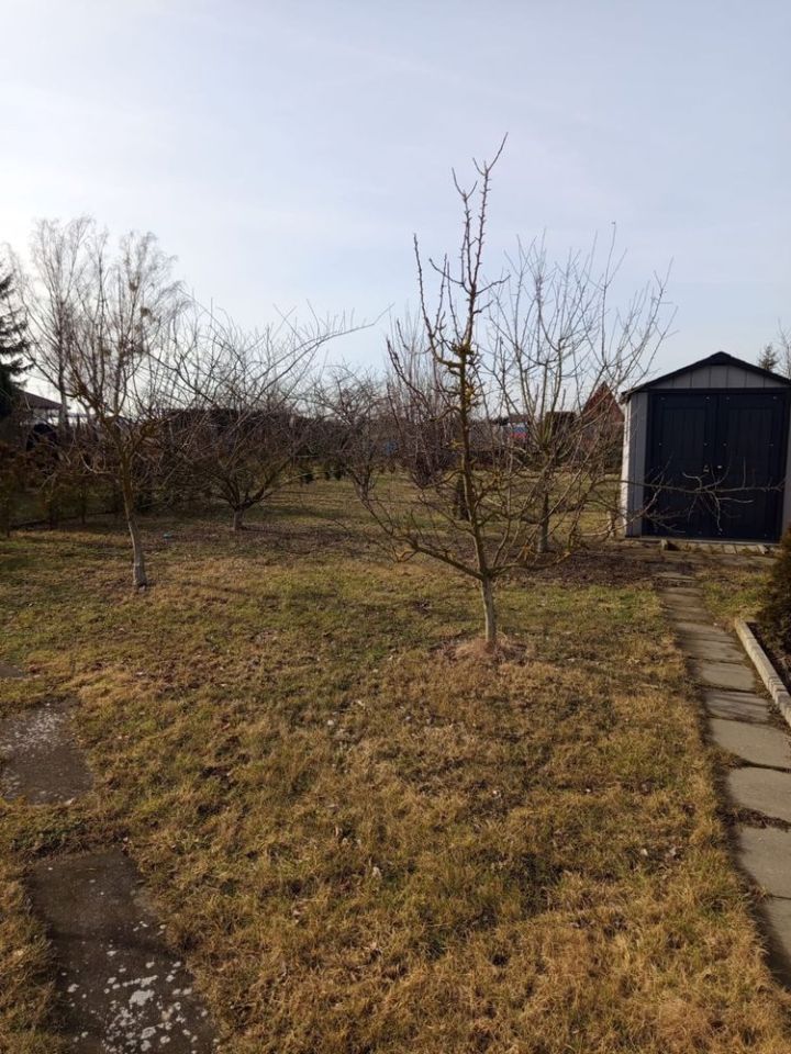 Działka rod Wyrzysk. Zdjęcie 7