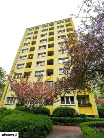 Mieszkanie 2-pokojowe Warszawa Praga-Południe, al. Stanów Zjednoczonych. Zdjęcie 1