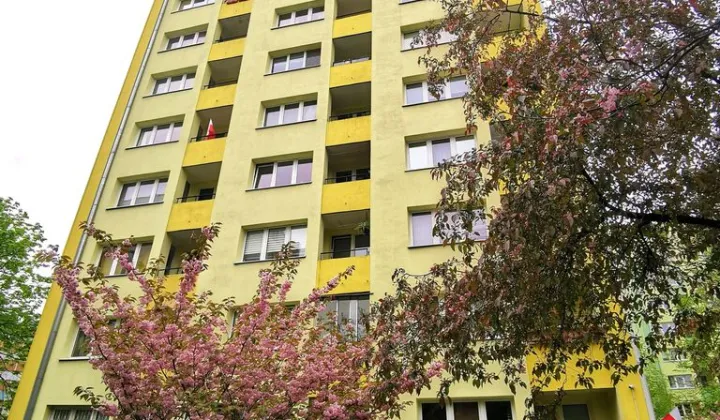 Mieszkanie 2-pokojowe Warszawa Praga-Południe, al. Stanów Zjednoczonych