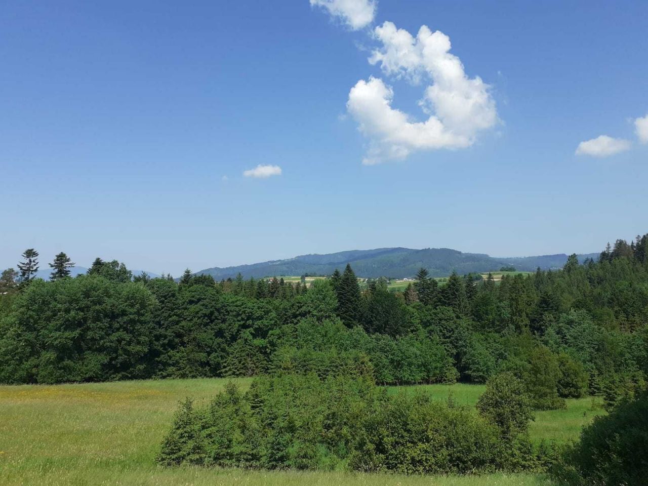 Działka rolna Jaworzynka. Zdjęcie 2