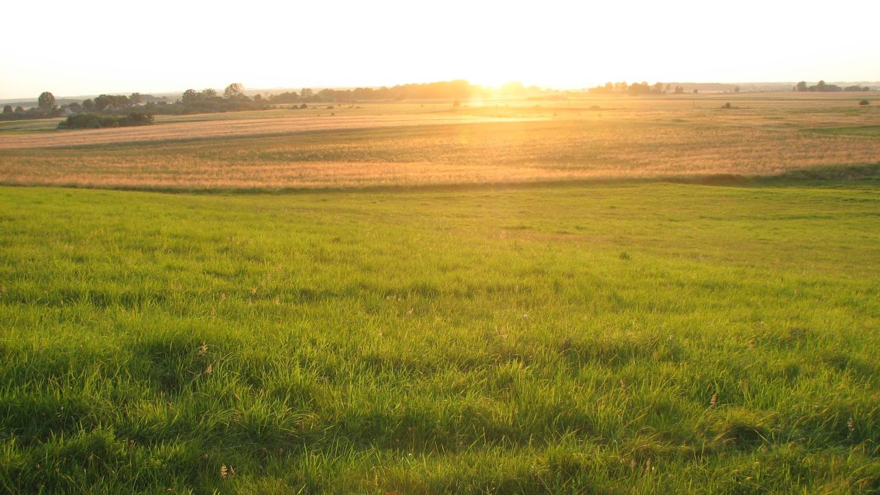Działka siedliskowa Biała. Zdjęcie 2