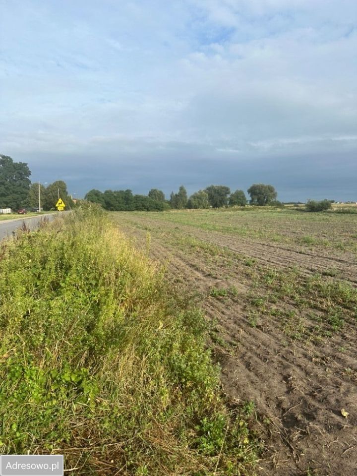 Działka budowlana Jarantów. Zdjęcie 3