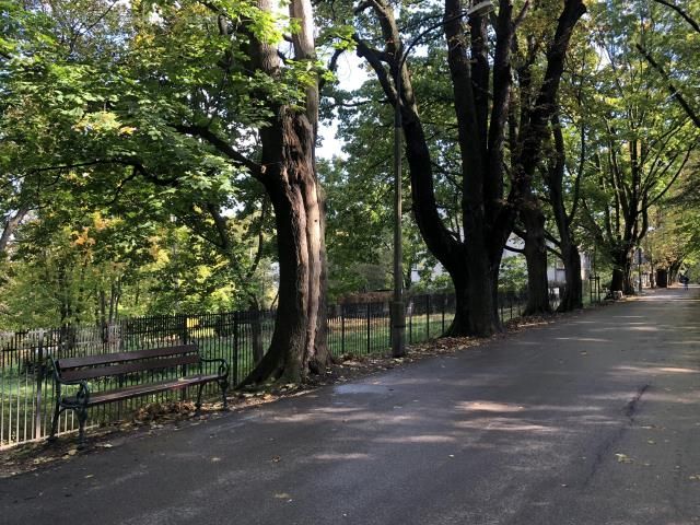 Działka budowlana Kraków Zwierzyniec, al. Jerzego Waszyngtona. Zdjęcie 2