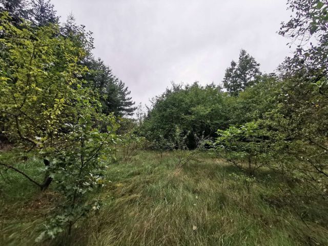 Działka inwestycyjna Złotów. Zdjęcie 8