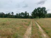 Działka rolna Różyn