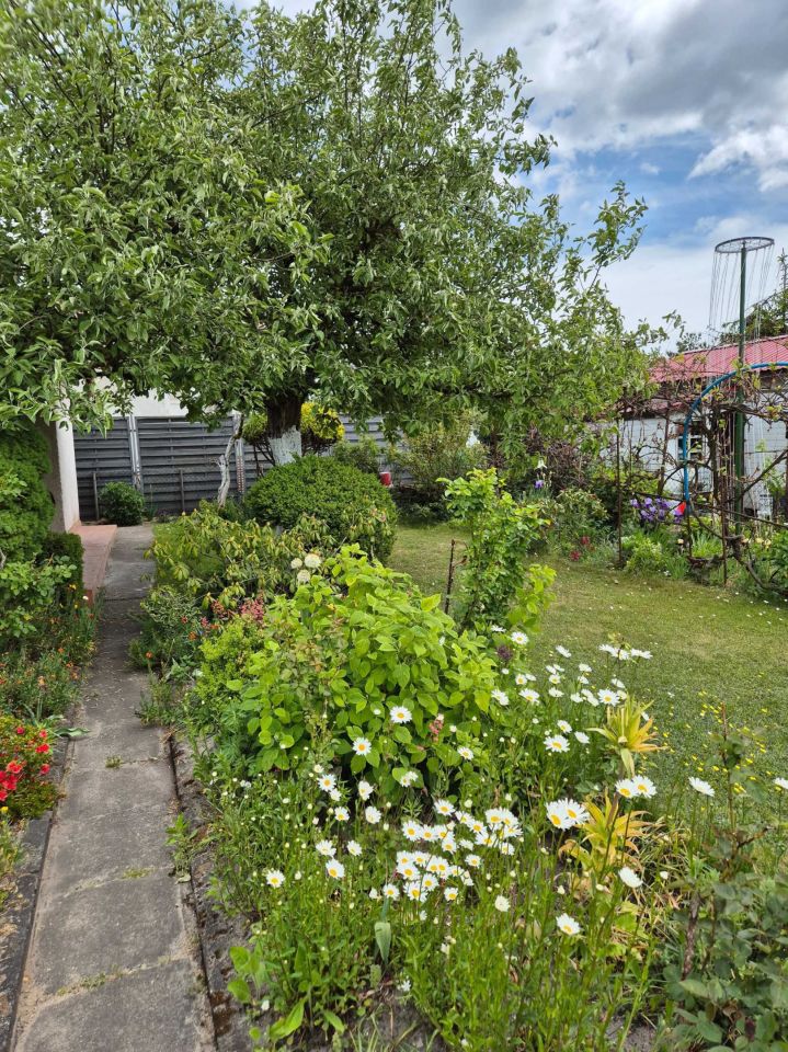 Działka rod Szczecin, ul. Żniwna. Zdjęcie 3