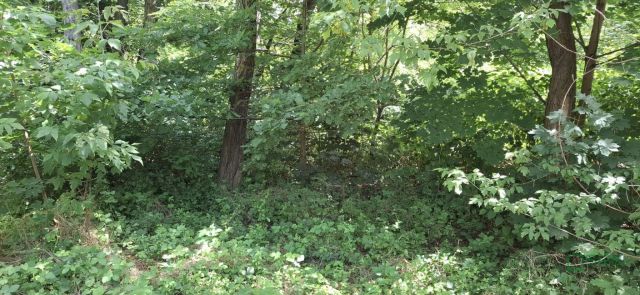 Działka inna Sosnowiec, ul. Adama Śliwki. Zdjęcie 4