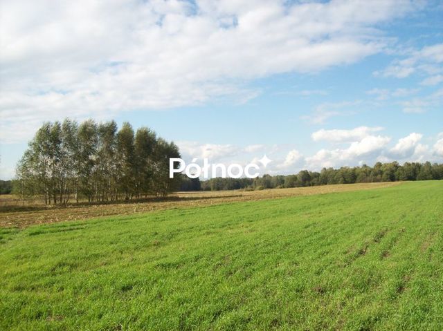 Działka rolna Janowicze. Zdjęcie 1