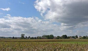 Działka budowlana Komprachcice, ul. Prószkowska