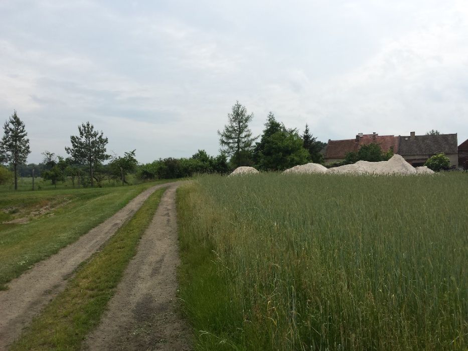 Działka budowlana Wilków. Zdjęcie 2