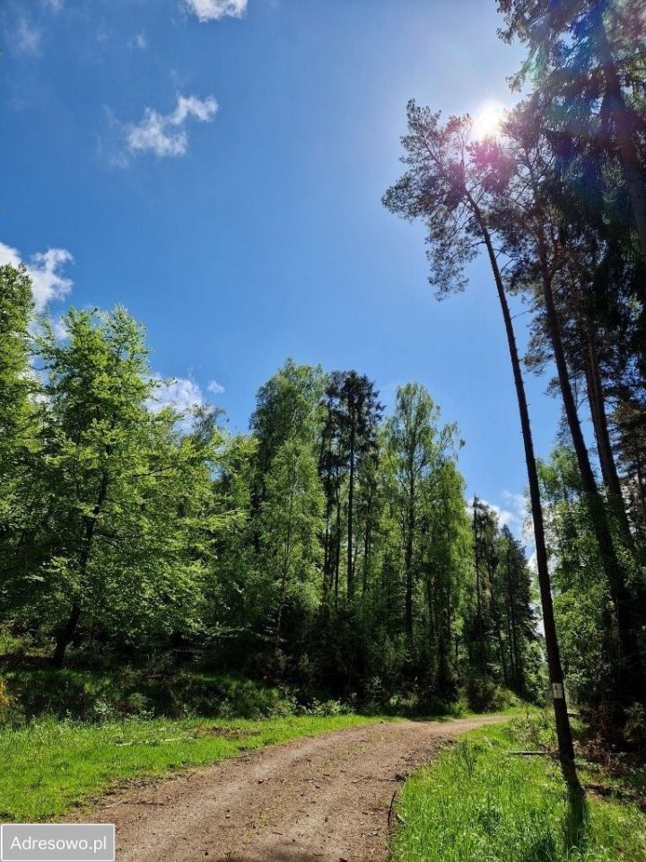 Działka budowlana Szczenurze, ul. Pomorska. Zdjęcie 6