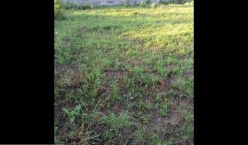 Działka budowlana Tłuszcz, ul. Zachodnia