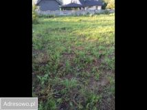Działka budowlana Tłuszcz, ul. Zachodnia