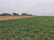 Działka budowlana Morawsko. Zdjęcie 2