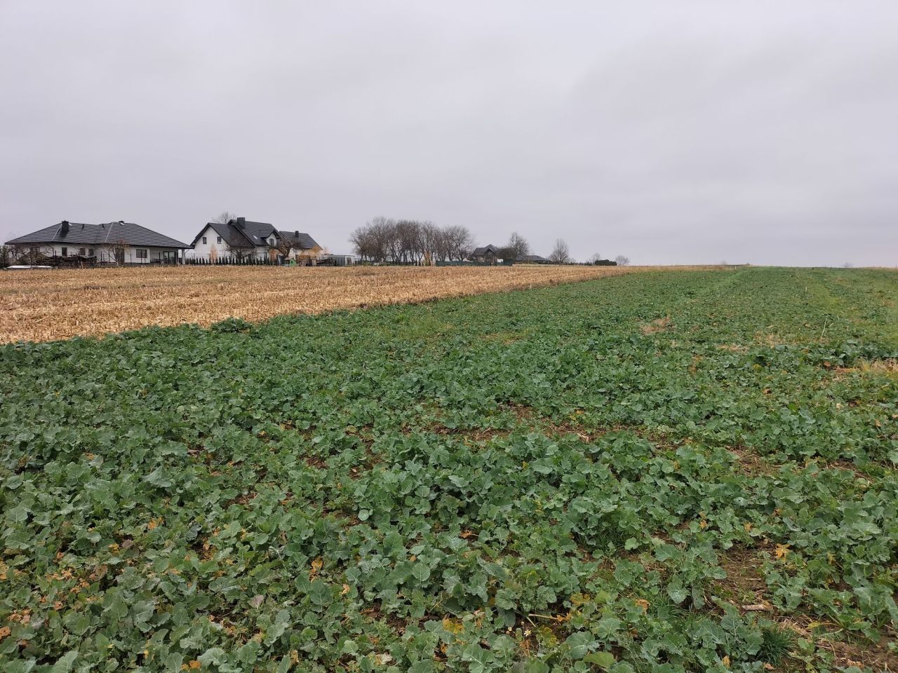 Działka budowlana Morawsko. Zdjęcie 3