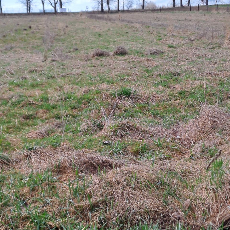 Działka budowlana Mała Wieś Dolna. Zdjęcie 8