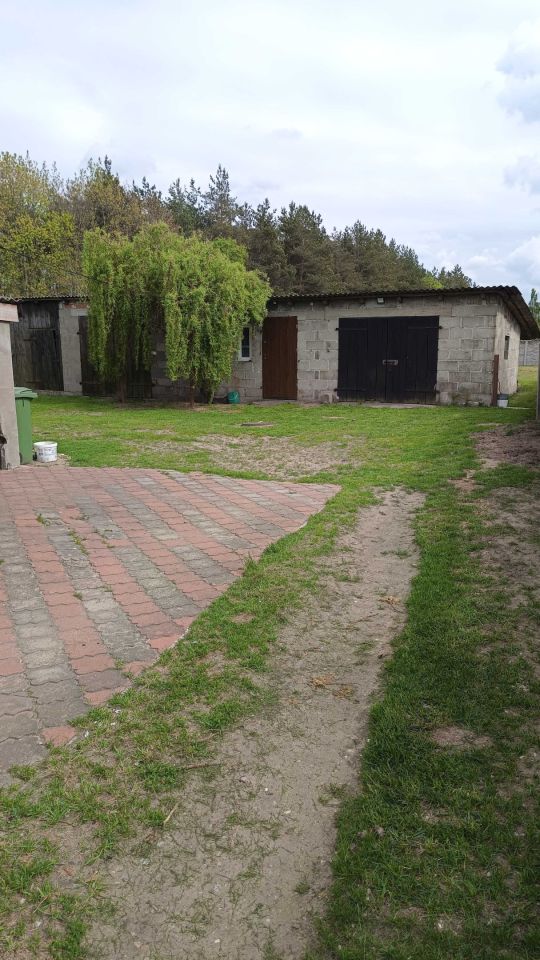 gospodarstwo Stary Budzisław. Zdjęcie 2