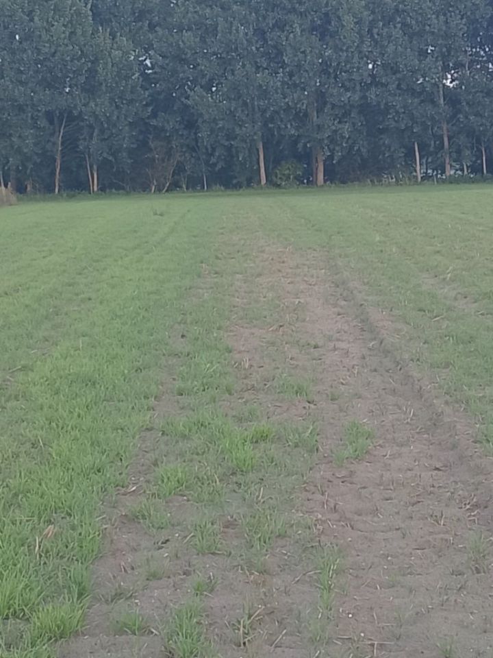 Działka rekreacyjna Wiewiórczyn. Zdjęcie 3